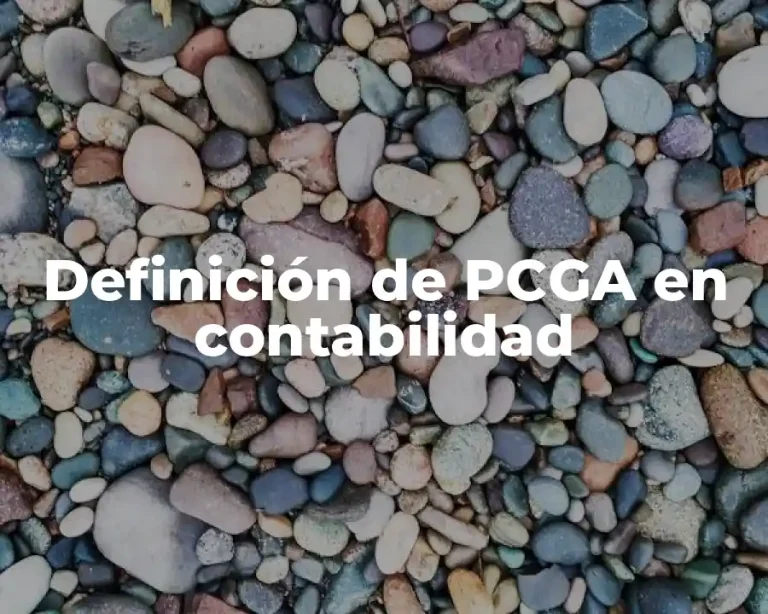Definición de PCGA en contabilidad
