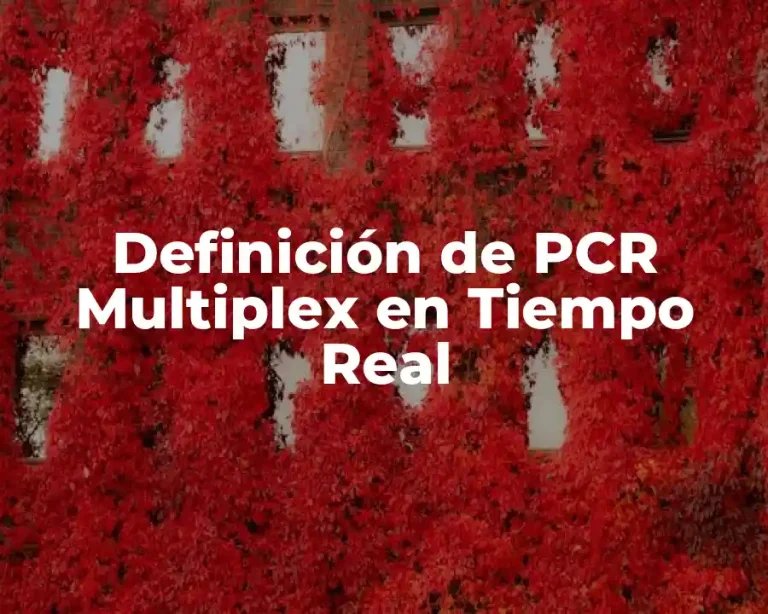 Definición de PCR Multiplex en Tiempo Real