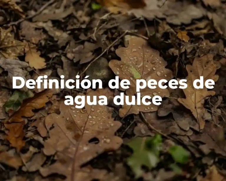 Definición de peces de agua dulce