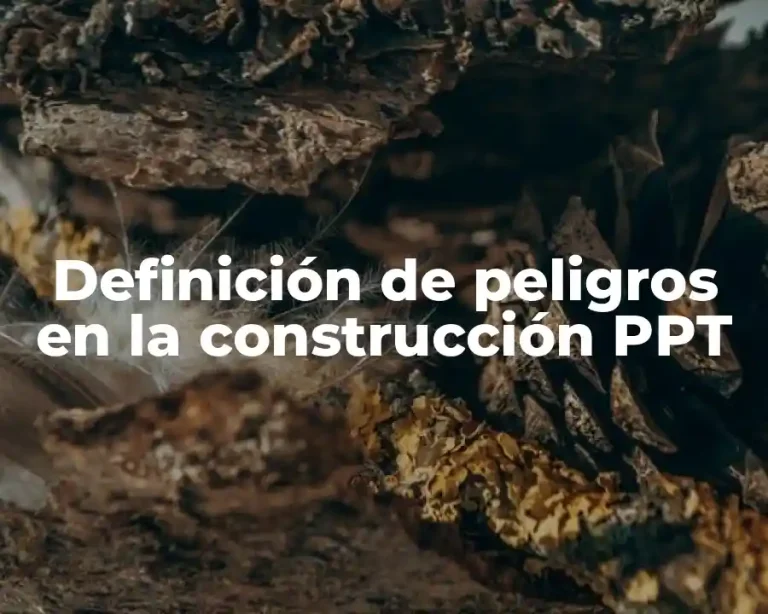 Definición de peligros en la construcción PPT