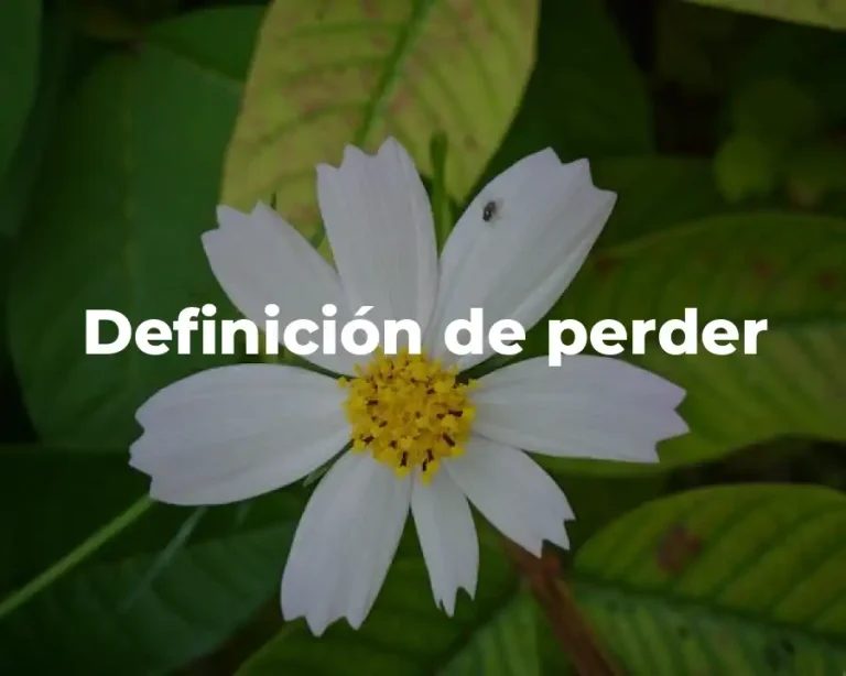 Definición de perder