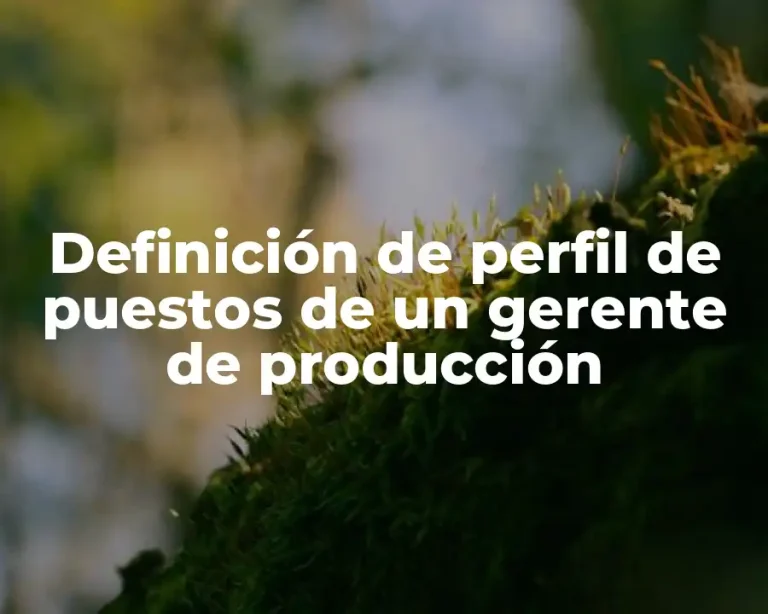 Definición de perfil de puestos de un gerente de producción