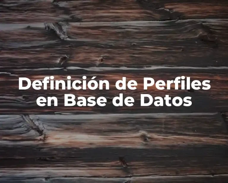 Definición de Perfiles en Base de Datos