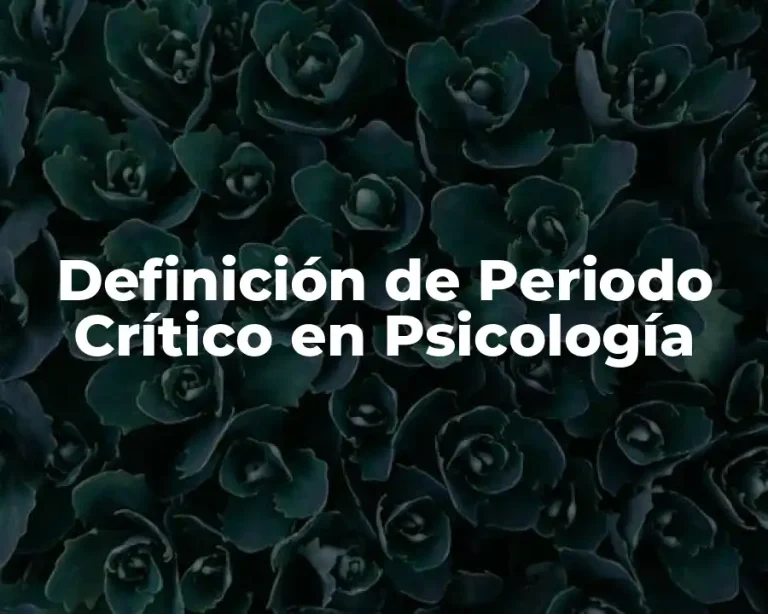 Definición de Periodo Crítico en Psicología