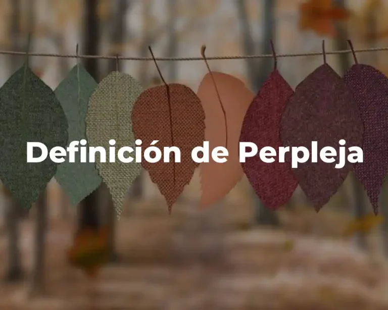 Definición de Perpleja