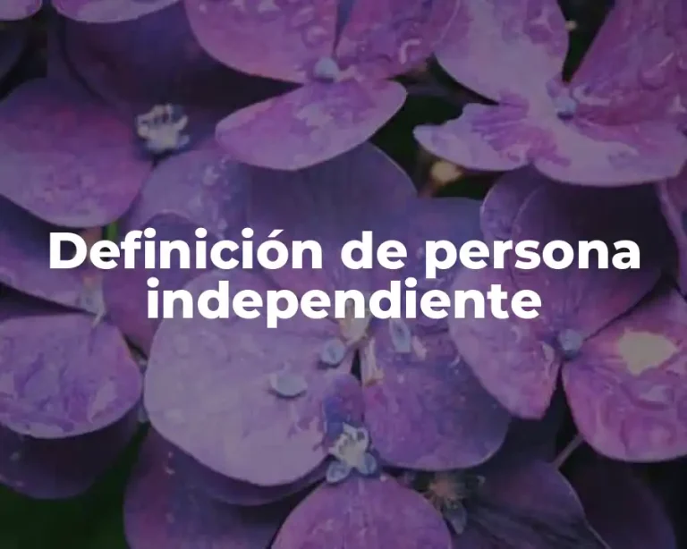 Definición de persona independiente