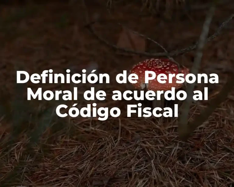 Definición de Persona Moral de acuerdo al Código Fiscal