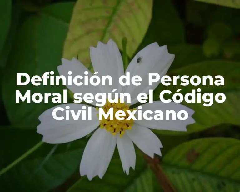 Definición de Persona Moral según el Código Civil Mexicano