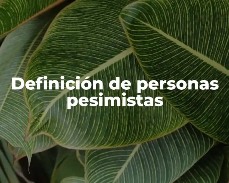 Definición de personas pesimistas
