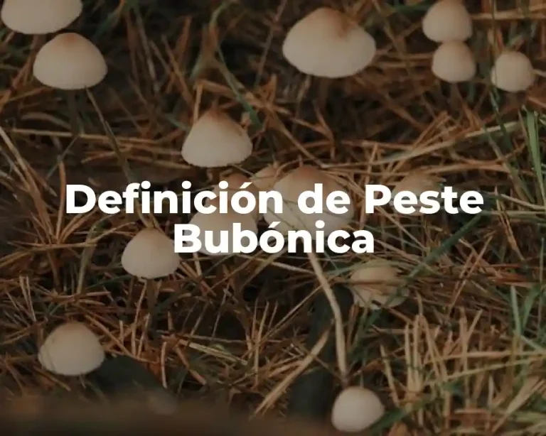 Definición de Peste Bubónica