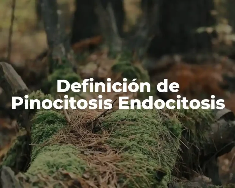 Definición de Pinocitosis Endocitosis