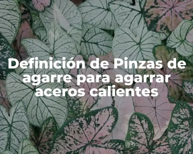 Definición de Pinzas de agarre para agarrar aceros calientes