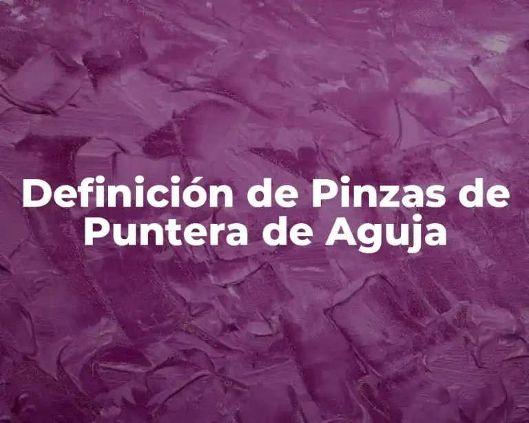 Definición de Pinzas de Puntera de Aguja