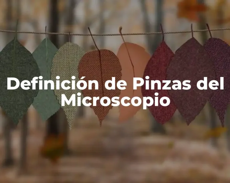 Definición de Pinzas del Microscopio