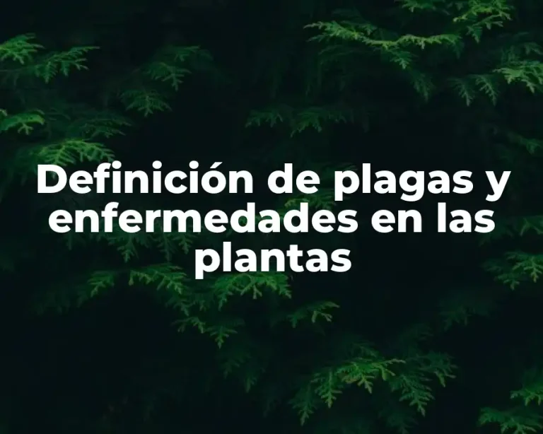 Definición de plagas y enfermedades en las plantas