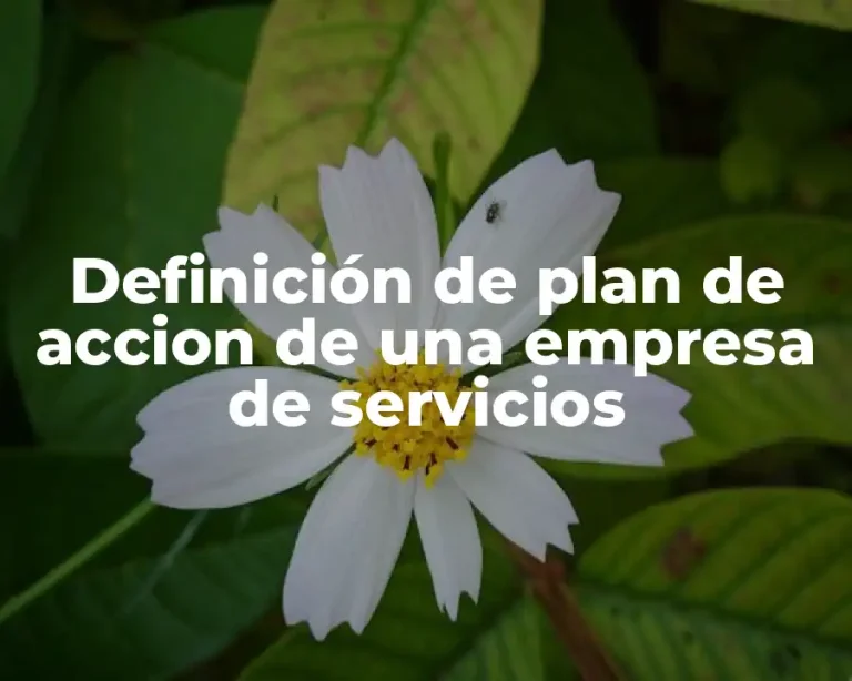 Definición de plan de accion de una empresa de servicios
