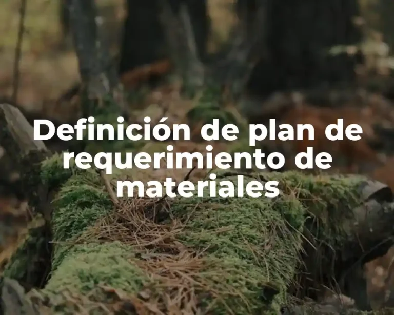 Definición de plan de requerimiento de materiales
