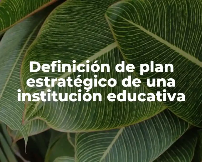Definición de plan estratégico de una institución educativa