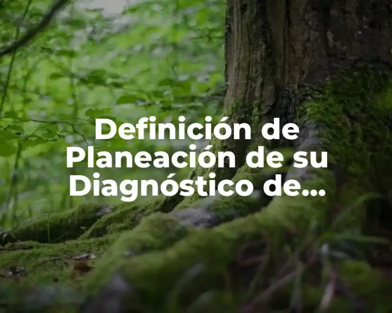 Definición de Planeación de su Diagnóstico de Funcionamiento
