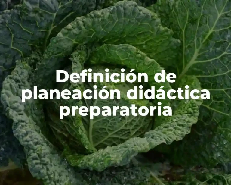 Definición de planeación didáctica preparatoria