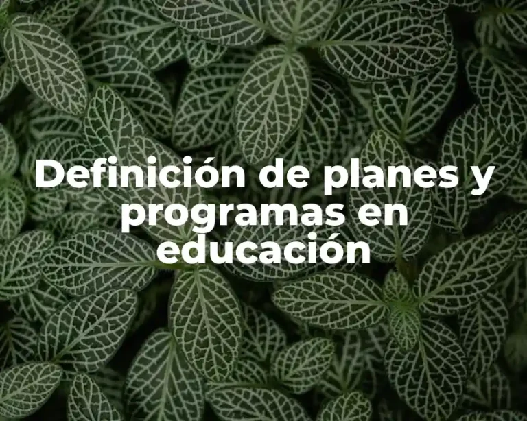 Definición de planes y programas en educación