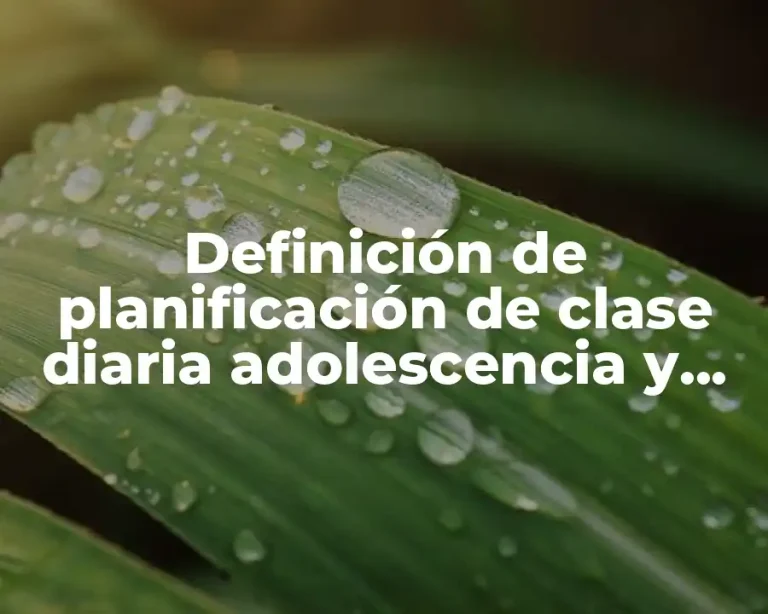Definición de planificación de clase diaria adolescencia y salud