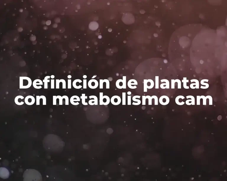 Definición de plantas con metabolismo cam