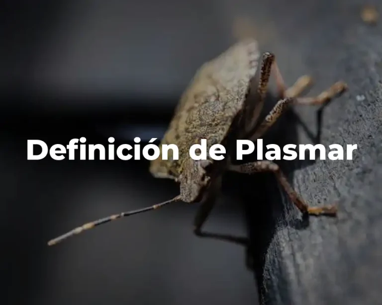 Definición de Plasmar