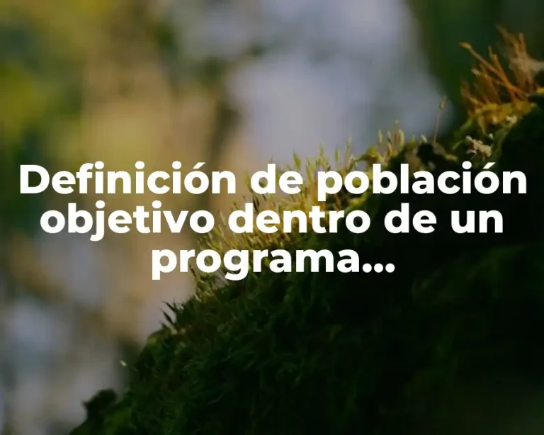 Definición de población objetivo dentro de un programa presupuestario