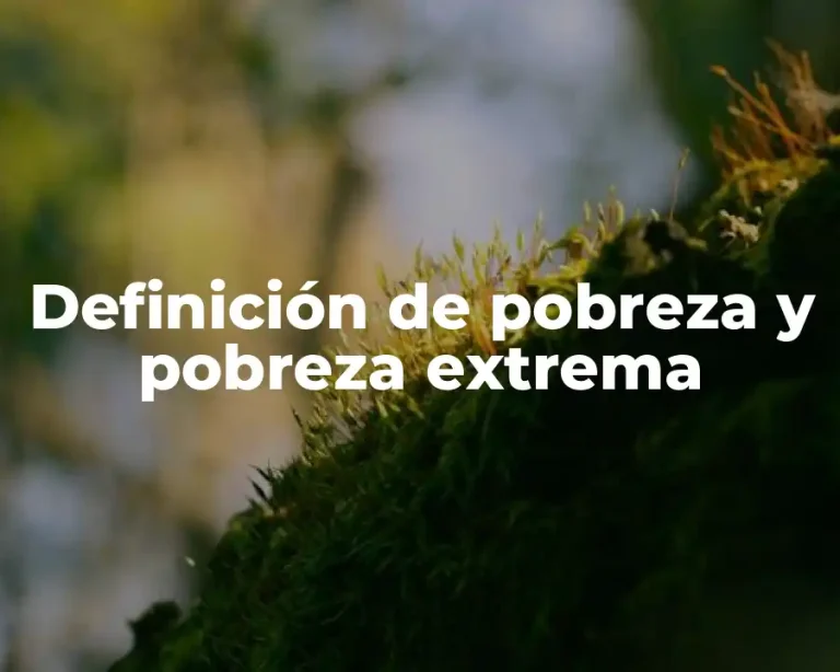 Definición de pobreza y pobreza extrema