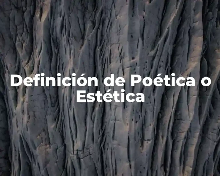Definición de Poética o Estética