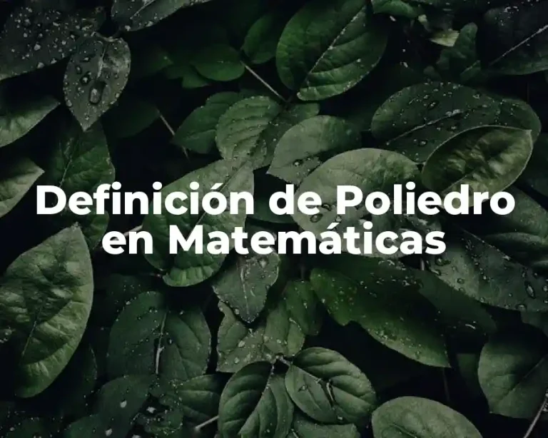 Definición de Poliedro en Matemáticas