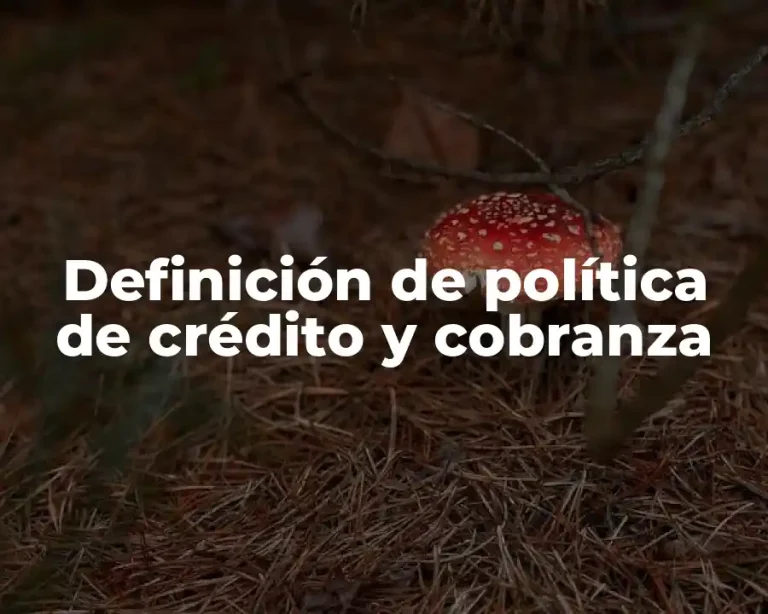 Definición de política de crédito y cobranza