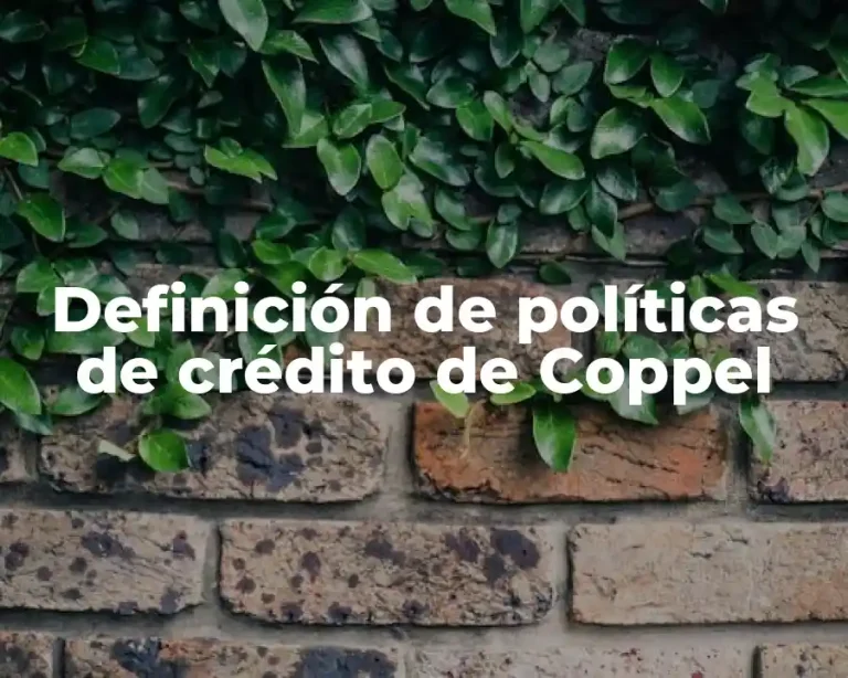 Definición de políticas de crédito de Coppel