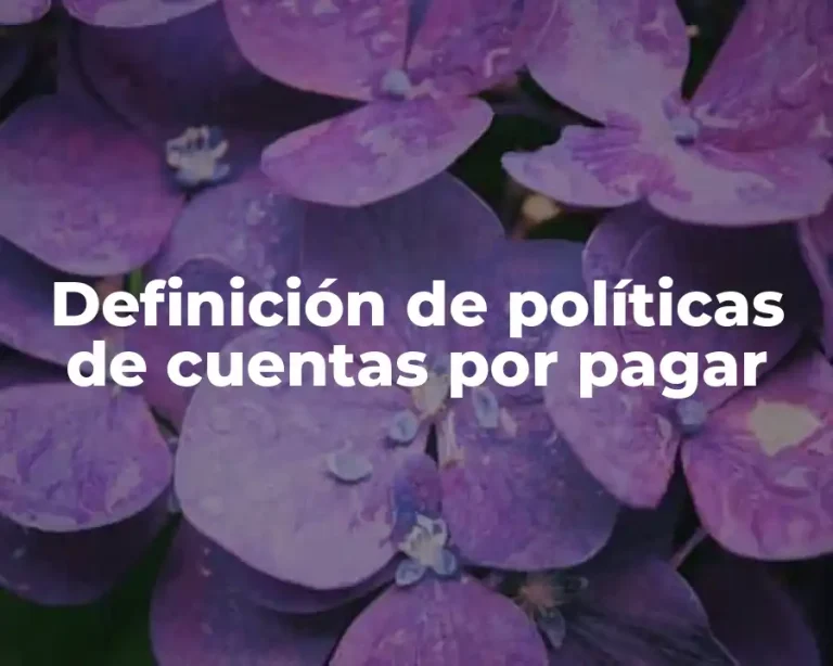 Definición de políticas de cuentas por pagar