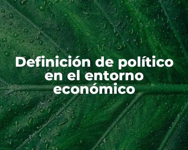 Definición de político en el entorno económico