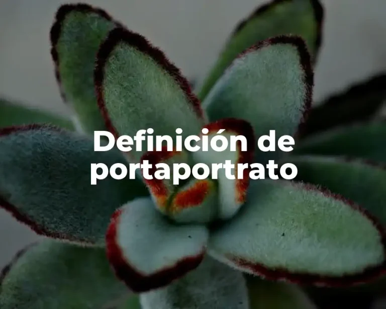 Definición de portaportrato
