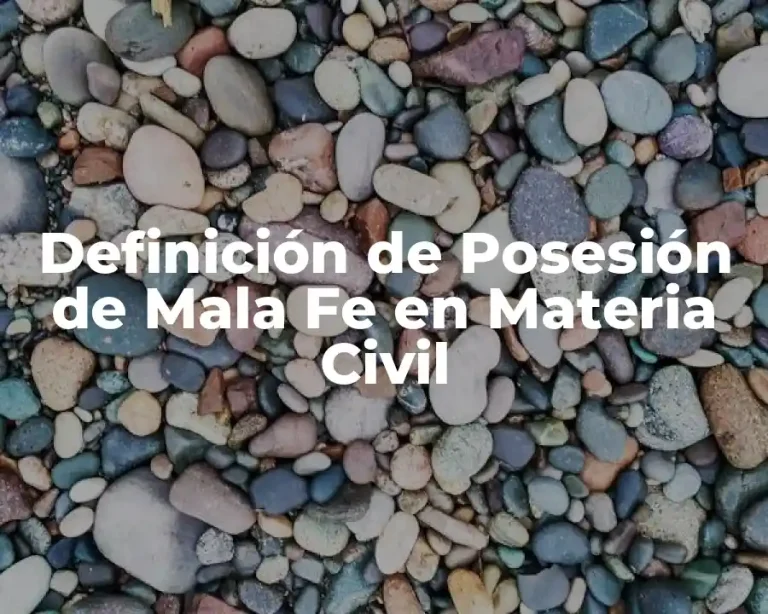 Definición de Posesión de Mala Fe en Materia Civil