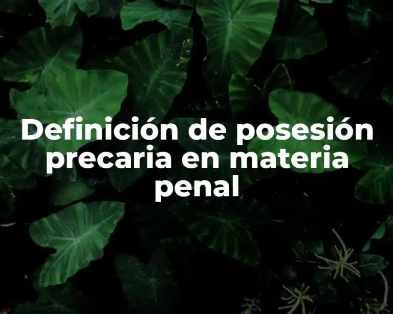 Definición de posesión precaria en materia penal