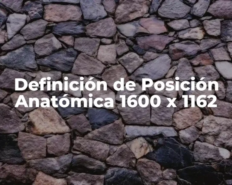 Definición de Posición Anatómica 1600 x 1162