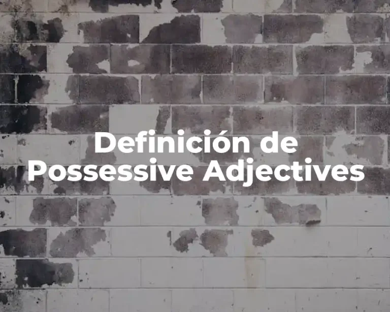 Definición de Possessive Adjectives