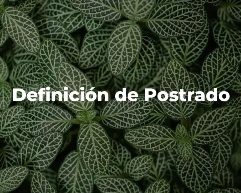Definición de Postrado