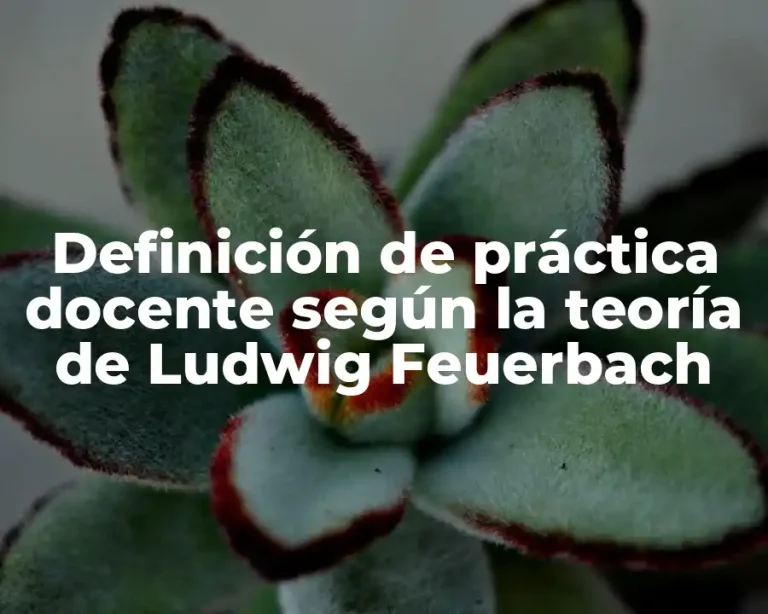 Definición de práctica docente según la teoría de Ludwig Feuerbach
