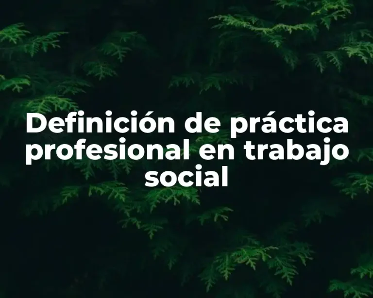 Definición de práctica profesional en trabajo social