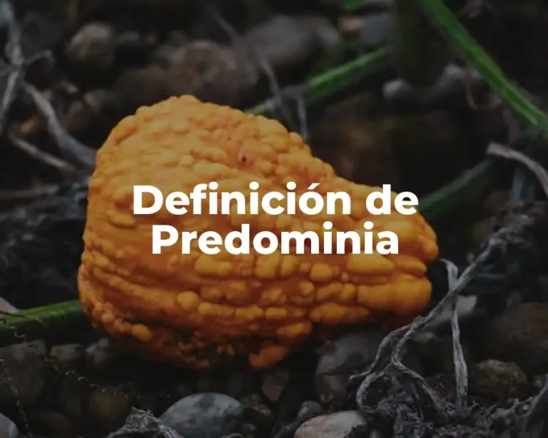 Definición de Predominia
