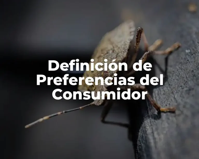 Definición de Preferencias del Consumidor