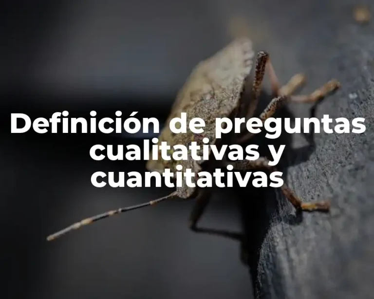 Definición de preguntas cualitativas y cuantitativas