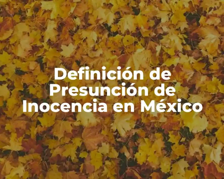 Definición de Presunción de Inocencia en México