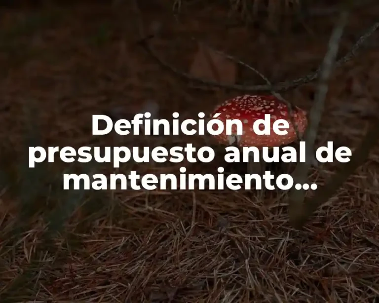 Definición de presupuesto anual de mantenimiento preventivo