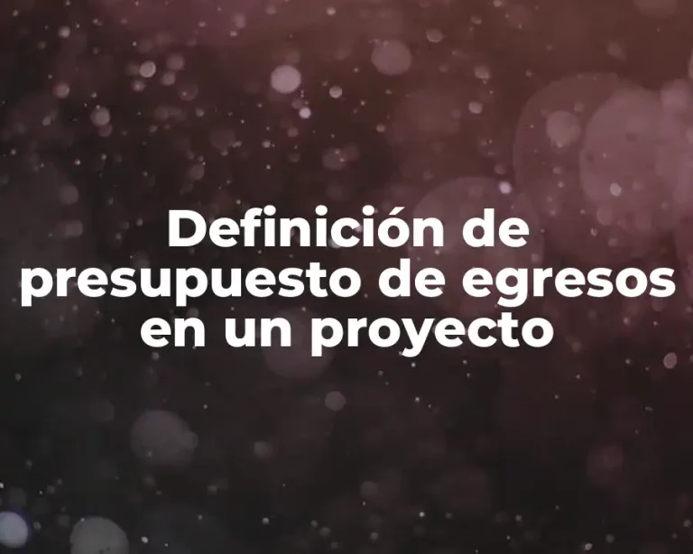 Definición de presupuesto de egresos en un proyecto